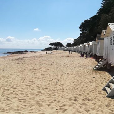 A Ilha de Noirmoutier: descoberta e patrimônio